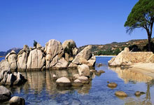 上海报团旅游app哪个好